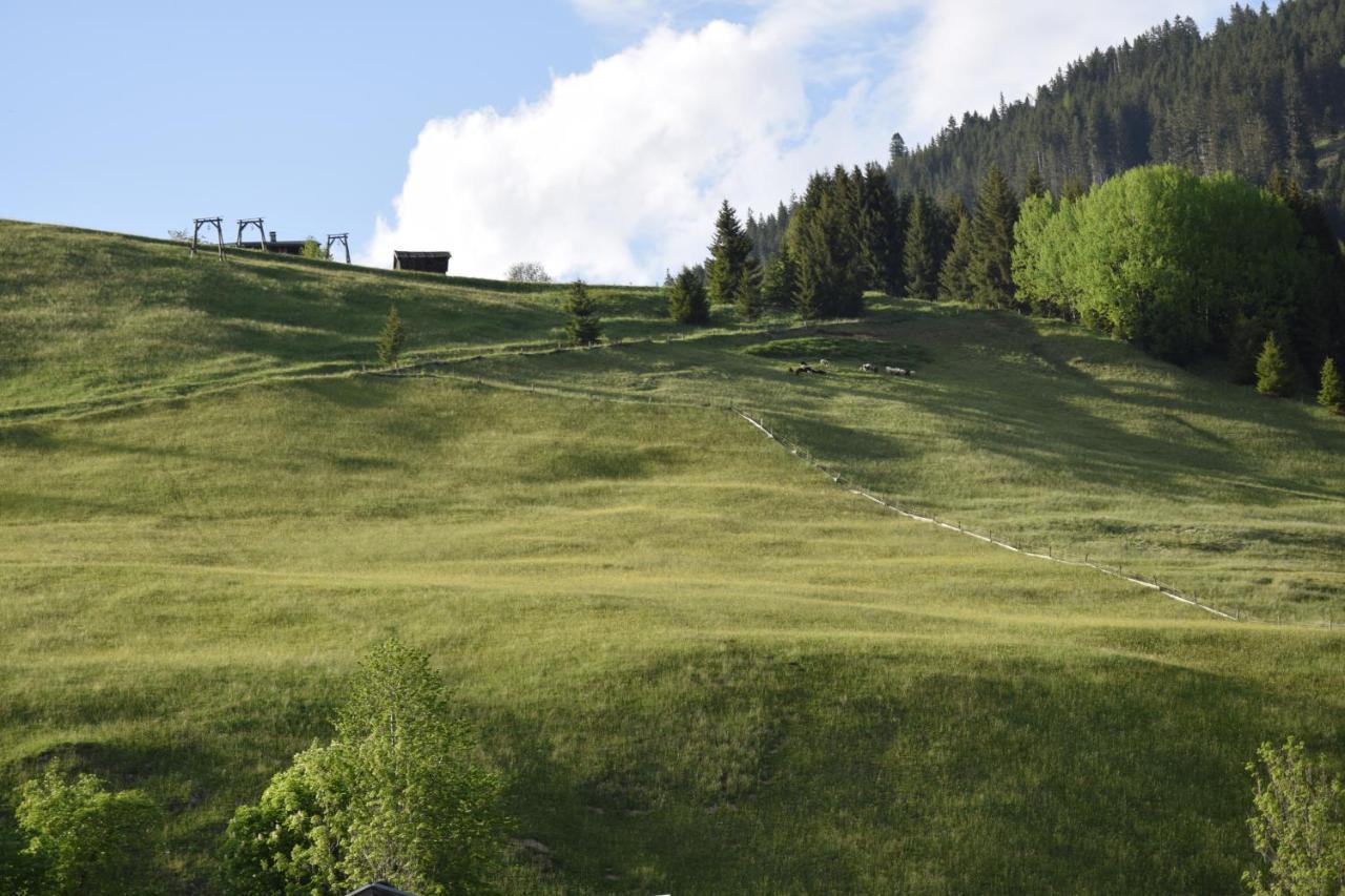 Foersterhaus Διαμέρισμα Holzgau Εξωτερικό φωτογραφία